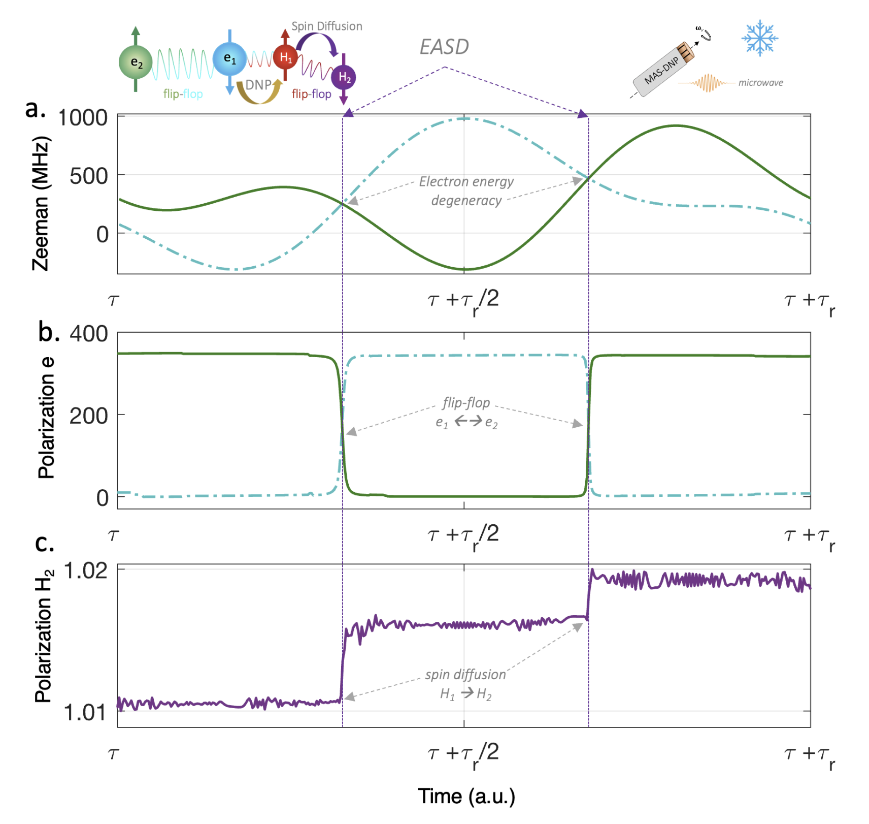 Overcoming Nuclear Spin Diffusion Barrier in DNP via Electron-Electron Flip-Flop